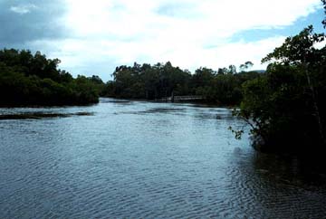 Trinity inlet